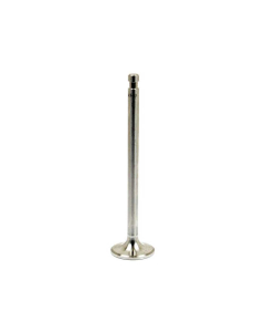 EXHAUST VALVE                      