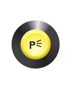 PARKING LIGHT SWITCH               