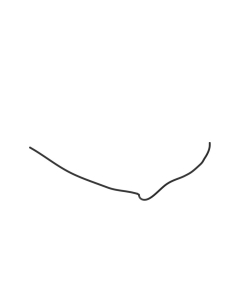 Slange