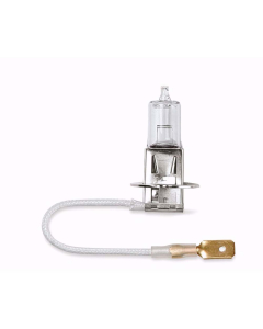 BULB