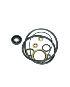 Pakningssett (Early Kidney-Shaped Pump)