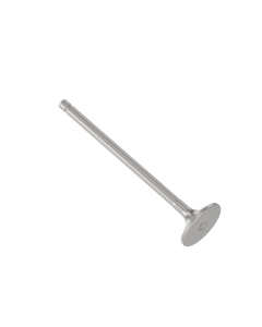 Exhaust valve