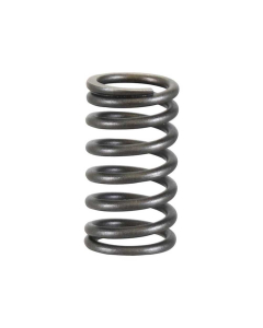VALVE SPRING                       