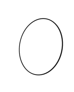 O-ring