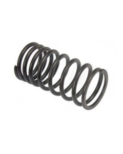 Valve spring