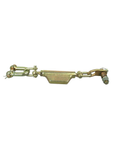 CHECK CHAIN ASSEMBLY               