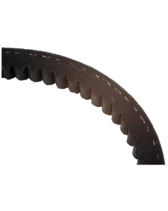 RAW EDGE COGGED BELT AVX13X775     