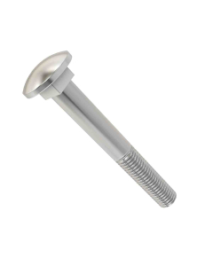 Bolt 10x80