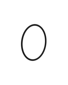O-RING