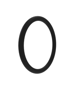 O-ring