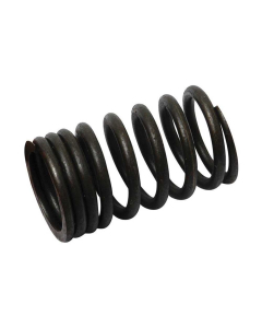 VALVE SPRING - OUTER               
