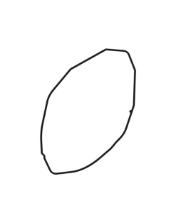O-RING