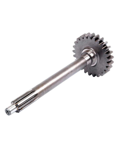 MAIN SHAFT 25T                     