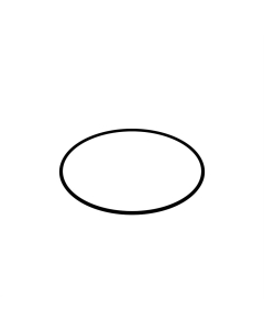 O-ring