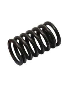 VALVE SPRING - OUTER               