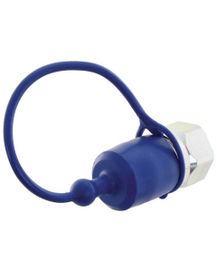 DUST CAP, BODY SIZE: 1''           