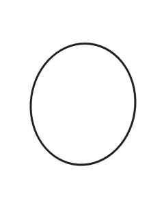 O-ring