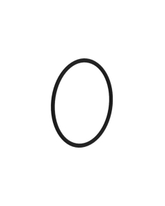 O-RING