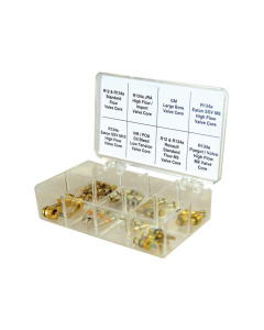 R12 & R134A MASTER VALVE CORE REPAI