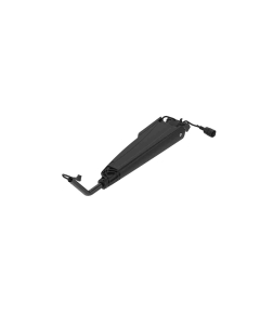 Arm