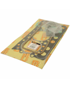 TOP GASKET SET (311DS)             