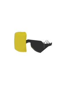 Arm