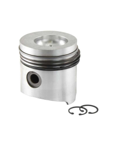 PISTON AND RING SET                