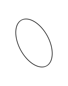 O-ring
