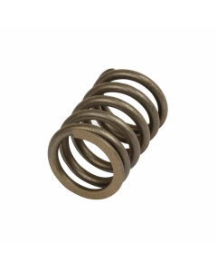 SPRING VALVE - INLET/EXHAUST       